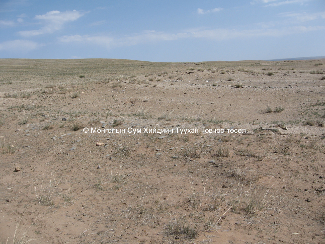 Пунгийн хийдийн туурь/8/